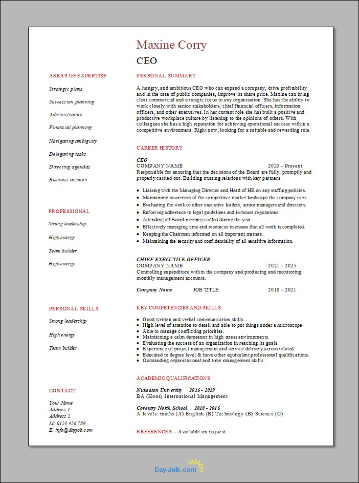 CEO resume example