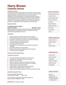 Customer Service CV