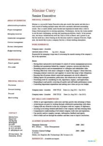 Senior executive resume, example, sample, management, leadership
