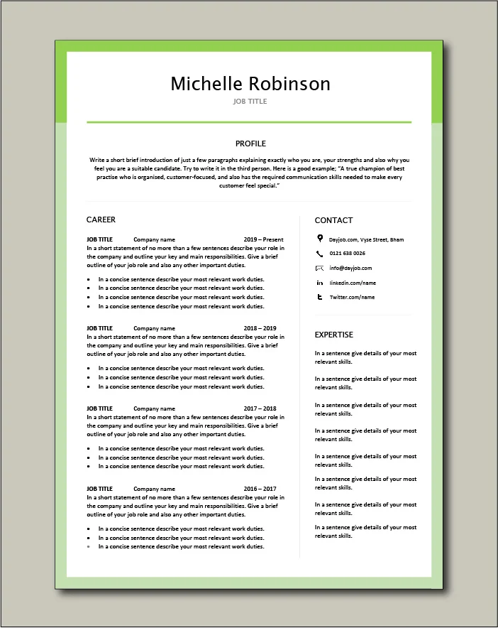 Premium CV template 29 - 2 page