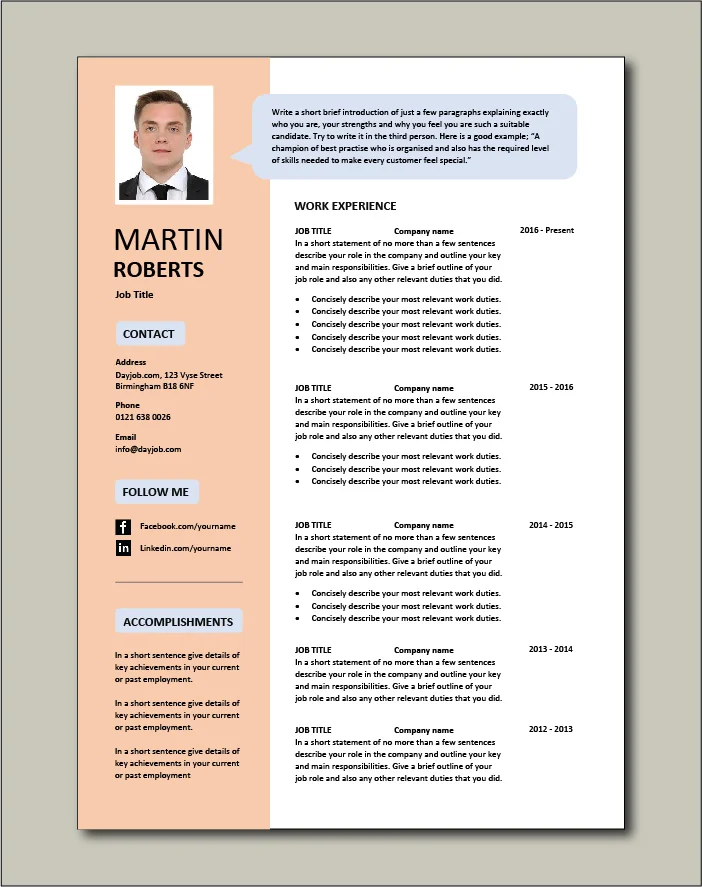 Premium CV template 33 - 2 page version