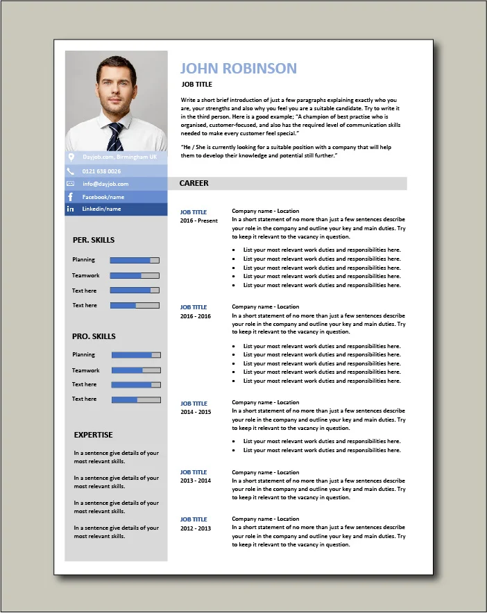 CV template 24 - 2 page