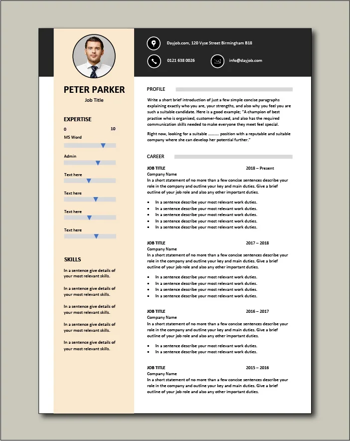CV template 29 - 2 pages
