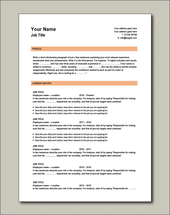 CV template 4 - 2 page
