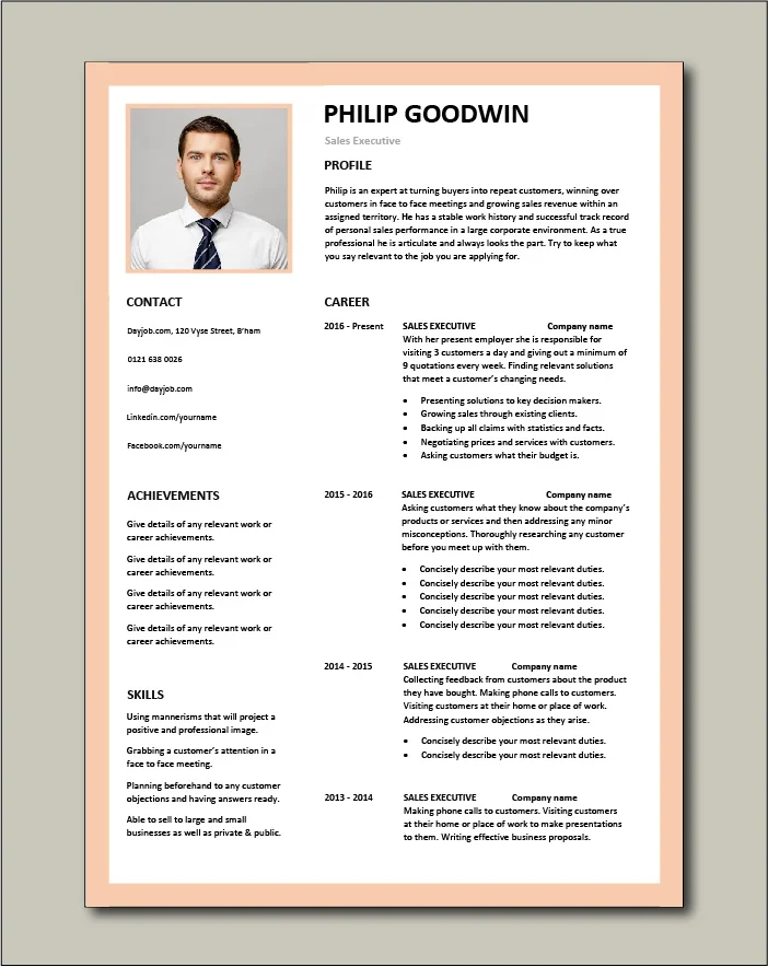 Sales Executive CV - 2 page