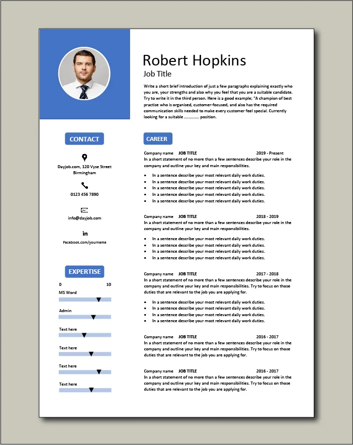 CV template 53 - 2 pages