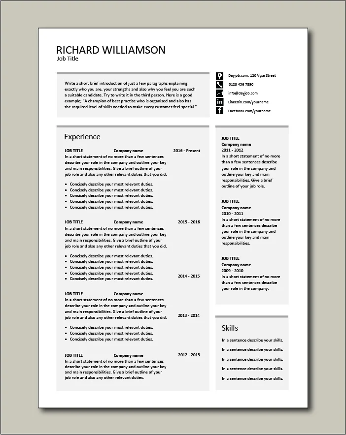 CV template 55 - 2 pages