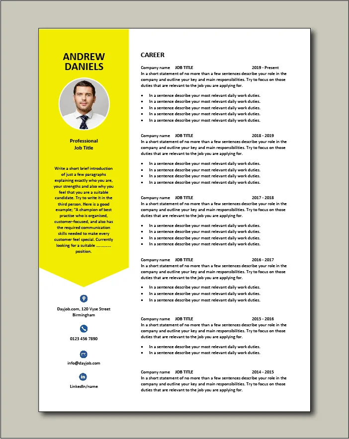 Premium CV template 64 - 2 pages
