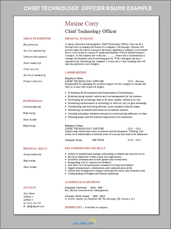 Chief Technology Officer template