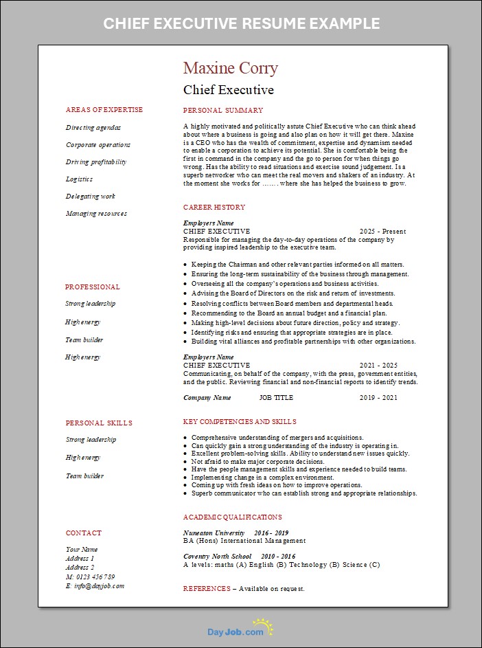 Chief Executive resume template
