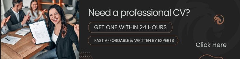 CV writing service